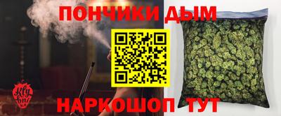сатива Новодвинск